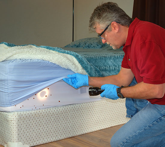 Bed Bug Treatment Atlanta