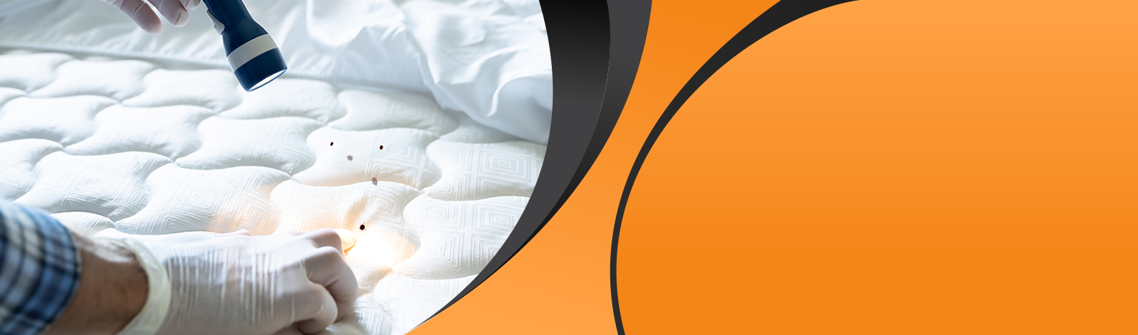 Bed Bug Heat Treatment Atlanta