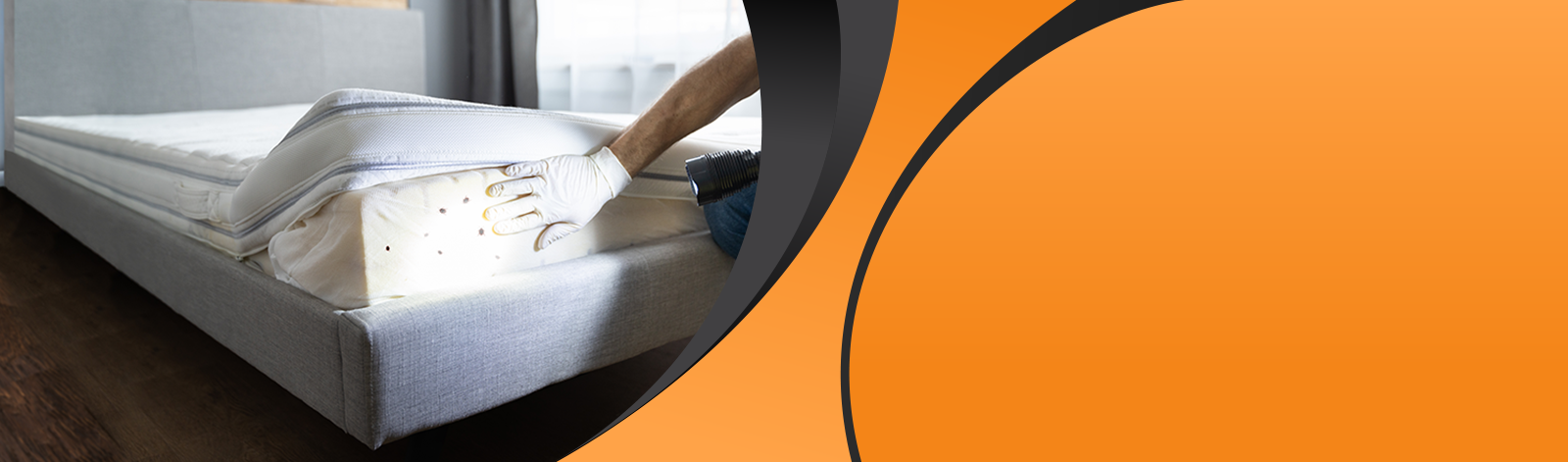 Bed Bug Heat Treatment Atlanta